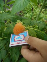 DSCN0180m3.jpg