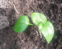 20160621_153314.jpg