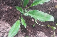 20160621_153424.jpg