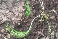20160621_153356.jpg