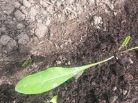 20160621_153331.jpg