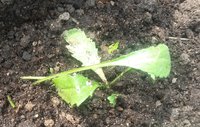20160621_153451.jpg