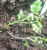 20160621_153248.jpg