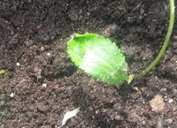 20160621_153441.jpg