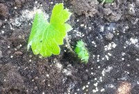 20160620_071808.jpg