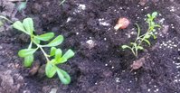 20160620_071754.jpg