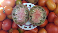 20160627_100250.jpg