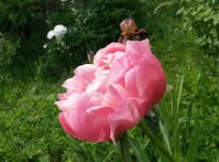 20160618_115948.jpg
