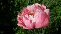 20160619_075724.jpg