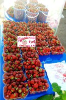 2016-06-26 07.19.31.jpg