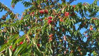 WP_20160626_07_30_05_Pro.jpg