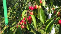 WP_20160626_07_31_20_Pro.jpg