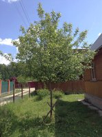 IMG_4825.jpg