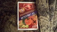 DSC00488.JPG