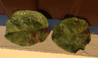 IMG_4581.JPG