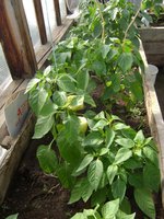 DSC05768.JPG