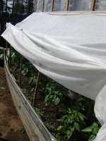 DSC05763.JPG