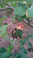 IMG_20160702_205437.jpg