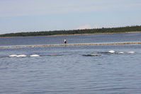 IMG_1133.JPG