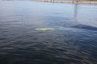 IMG_1125.JPG