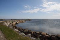 IMG_1291.JPG
