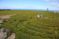 IMG_1429.JPG