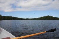 IMG_1554.JPG
