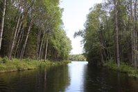 IMG_1559.JPG