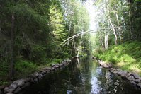IMG_1594.JPG