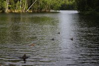IMG_1580.JPG
