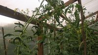 WP_20160703_15_17_23_Pro.jpg