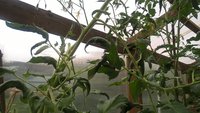 WP_20160703_15_17_55_Pro.jpg
