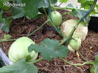 2016.07.03 18-59-14.JPG