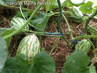 2016.07.03 19-10-42.JPG