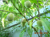 DSCN1243.JPG