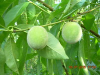 DSCN1245.JPG