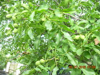 DSCN1249.JPG