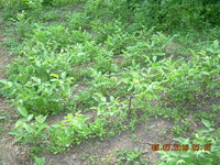 DSCN1254.JPG