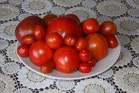 IMG_1913.JPG