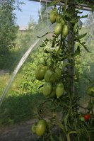 IMG_1852.JPG