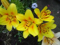 20160706_072801[1].jpg