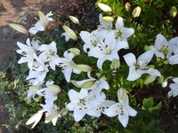 20160706_072831[1].jpg