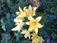 20160706_072600.jpg