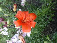 20160706_072749.jpg