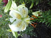 20160706_072815.jpg