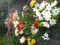 20160706_072615.jpg