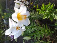 20160706_072644.jpg