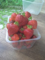 20160703_154754.jpg