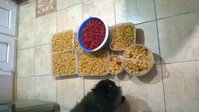 WP_20160708_001.jpg