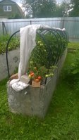 WP_20160710_004.jpg